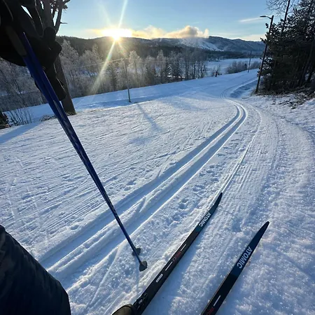 Geilo Living * Holo